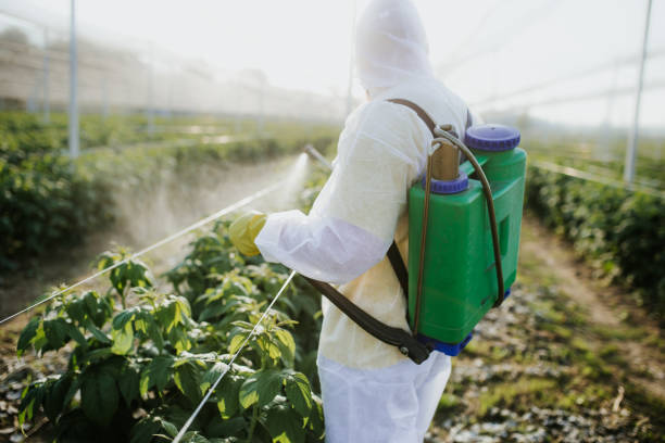 Best Bed Bug Extermination  in Geneva, IN